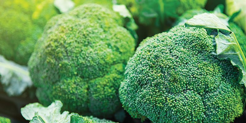 brocolli-1